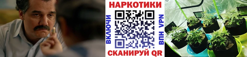 Что такое Гурьевск КОКАИН  ГАШ  Каннабис 