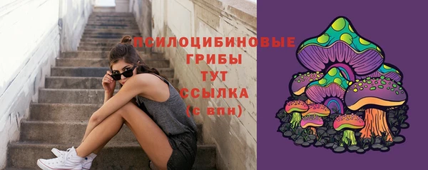 мдпв Покачи