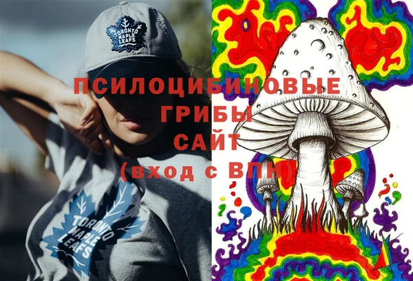 соль ск Арсеньев