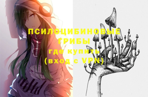 соль ск Арсеньев