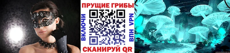 OMG Гурьевск Галлюциногенные грибы мицелий купить закладку